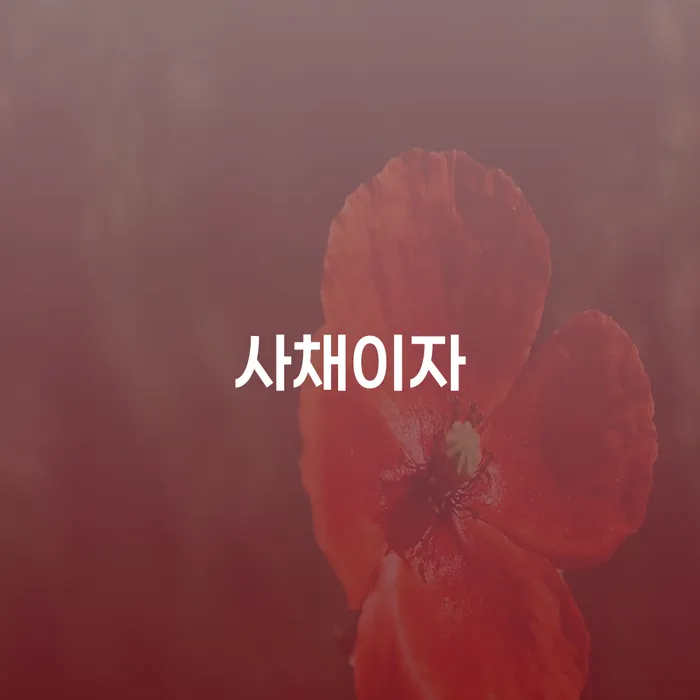 급여압류 개인회생으로 현명하게 어떻게 진행되는지