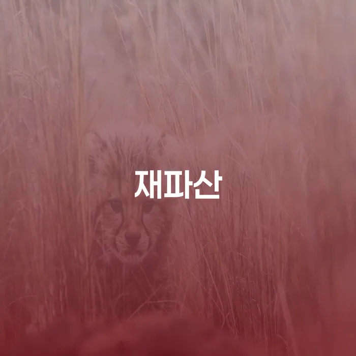 충주시 상속재산파산신청 빚청산 걱정이라면