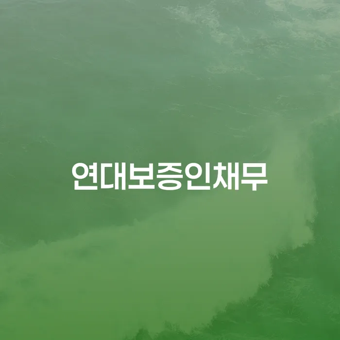 성북구 고금리전환대출 연체 시 개인회생 진행하는