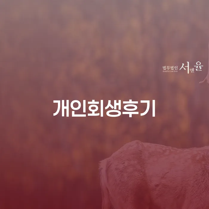 송파구 저금리채무통합대출 연체 시 개인회생 문제해결방법 선택해야 하는