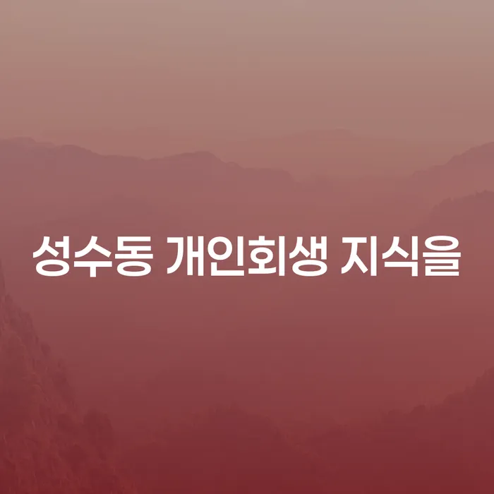 성수동 개인회생 지식을