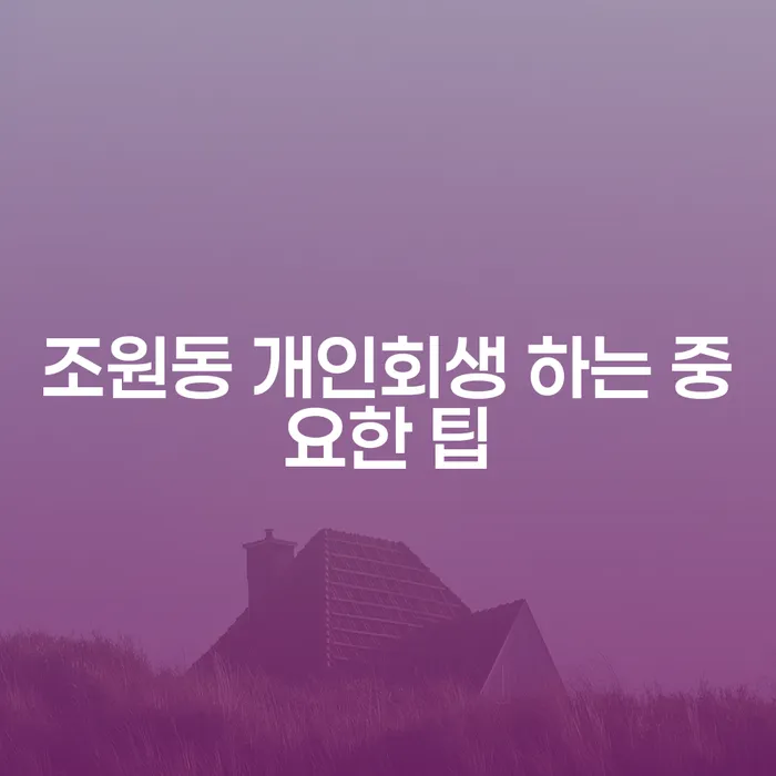 조원동 개인회생 하는 중요한 팁