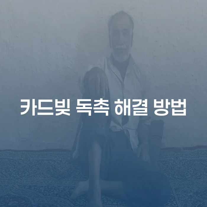 카드빚 독촉 전화와 방문, 어떻게 해결할 수 있을까요?