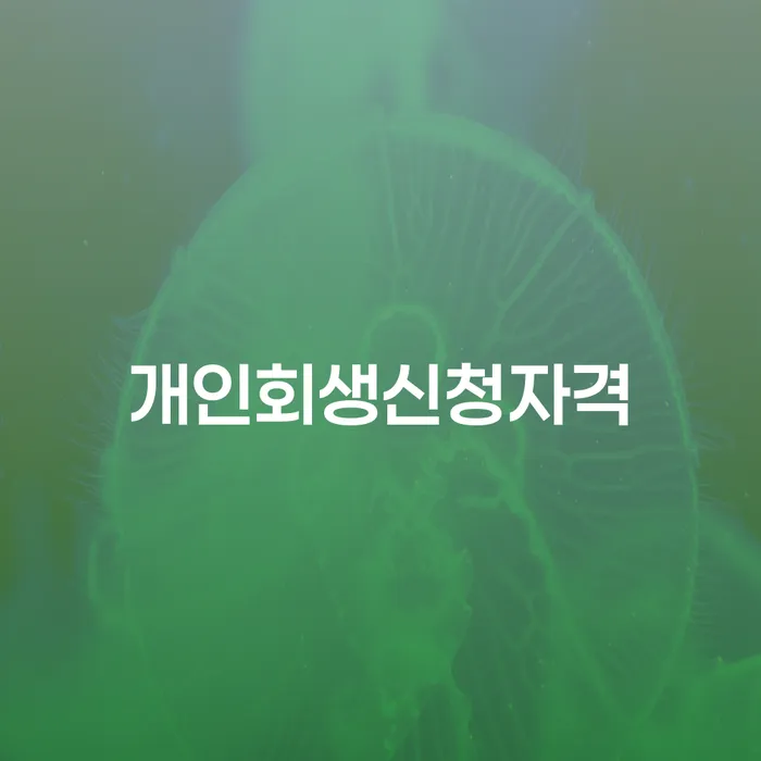 삼전동 개인회생신청자격 알아보기