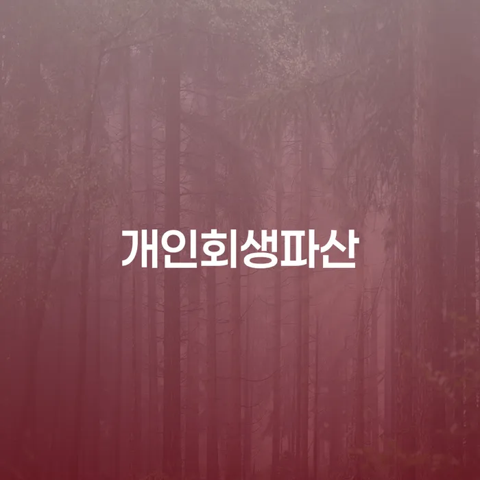 수영구에서 개인회생과 개인파산, 어떻게 시작해야 할까요?