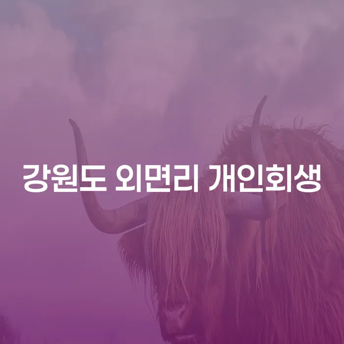 강원도 외면리에서 개인회생을 신청해야 할 이유는 무엇인가요?