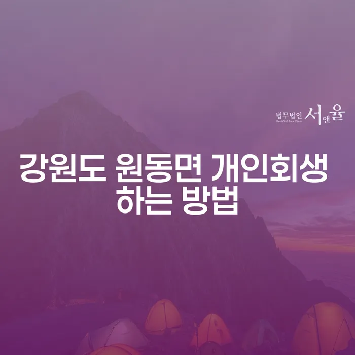 강원도 원동면에서 개인회생을 성공적으로 신청하는 방법은?