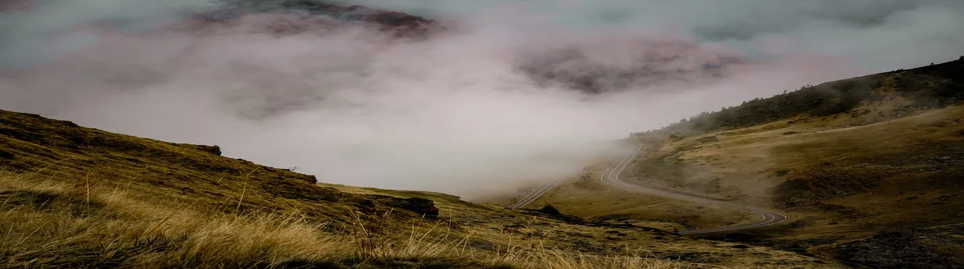 법무법인 서앤율